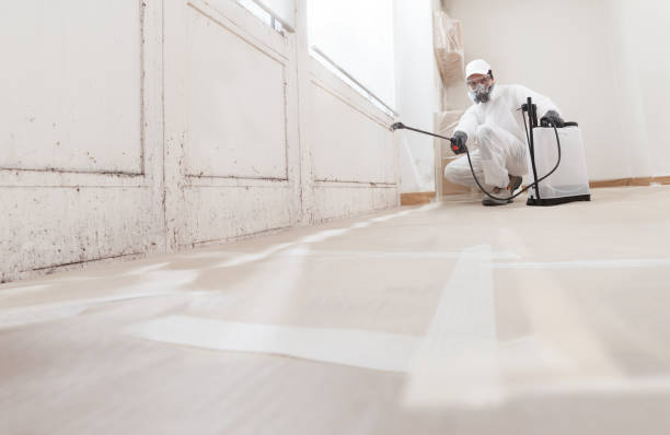 Black mold remediation team in Hillsboro