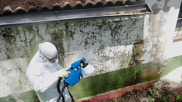 Mold Removal service in Hillsboro